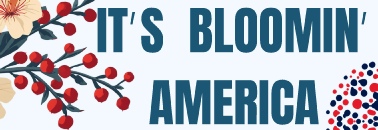 bloomin america